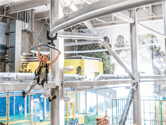 Backyard Zipline-Roller-Coaster for sale