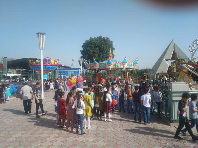 Carousel ride for sale case
